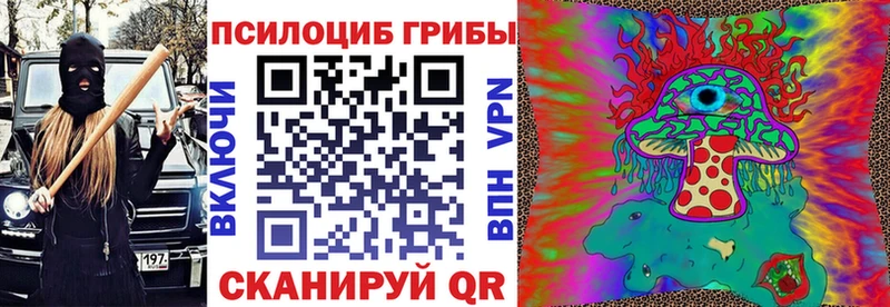 Псилоцибиновые грибы Psilocybe  Бийск 